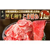 ふるさと納税 牛肉 すき焼き 宮崎県 都城市 新光星牧場 黒毛和牛こま切れ1kg_14-M901_(都城市) 都城産 黒毛和牛 小間切れ 500g×2P | ふるさとチョイス