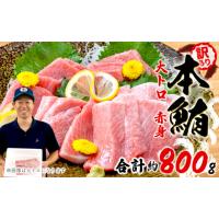ふるさと納税 魚貝類 静岡県 藤枝市  組み合わせが選べる 訳あり 本まぐろ 大とろ 赤身 セット 約 800g 不定型柵 鮪 まぐろ 大トロ 冷凍 鮪 漬け マグロ ユッ… | ふるさとチョイス