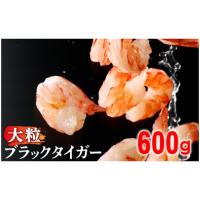 ふるさと納税 エビ 北海道 登別市 順次出荷 訳あり えび ブラックタイガー 冷凍 むきえび 600g下処理済み | えび 海老 エビ ebi むきえび むき海老 むきエビ … | ふるさとチョイス