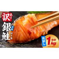 ふるさと納税 魚貝類 鮭 大阪府 泉佐野市  訳あり 銀鮭 切り身 1kg(約9切れ) 規格外 甘塩 バラ凍結 海鮮 魚介 鮭 さけ しゃけ お弁当 朝食 おかず 簡単調理 家… | ふるさとチョイス