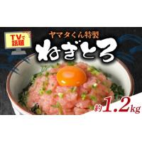ふるさと納税 いくら 千葉県 銚子市 ネギトロ 1.2kg (300g×4パック) | まぐろ 鮪 ネギトロ ねぎとろ まぐろたたき まぐろのたたき マグロたたき ネギとろ ね… | ふるさとチョイス