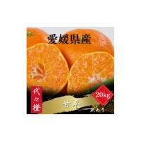 甘平みかん 10kgのおすすめ人気商品一覧 通販 - Yahoo!ショッピング