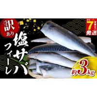 ふるさと納税 旬の鮮魚等 千葉県 旭市 ＼最短7営業日以内発送／ 塩 サバ フィーレ 訳あり 約 3kg さば サバ 鯖 saba 塩サバ 塩さば 塩鯖 フィレ 国産 人気 ボ… | ふるさとチョイス