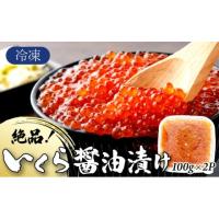 ふるさと納税 いくら 佐賀県 上峰町 絶品 いくら醤油漬け 200g（100g×2P） A-129-PE 200g 9000円 | ふるさとチョイス