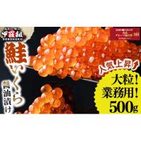 ふるさと納税 いくら 福井県 敦賀市  寄附殺到 現在3月発送受付中 大粒 鮭いくら 醤油漬け 500g 甲羅組 いくら イクラ さけいくら 魚卵 海鮮 魚介類 いくら丼 … | ふるさとチョイス