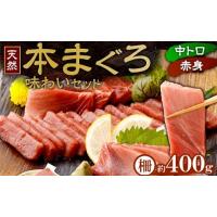 ふるさと納税 マグロ 高知県 室戸市 まぐろの王様 天然本まぐろ 味わいセット ４００ｇ サク 柵 スライス 切落し セット 天然 天然まぐろ 天然マグロ まぐろ … | ふるさとチョイス