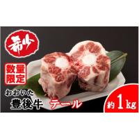 ふるさと納税 牛肉 テール 大分県 国東市  ふるさとチョイス限定 月15セットまで 希少部位 おおいた豊後牛 牛テール 約1kg 黒毛和牛 貴重 尻尾 料理 テールス… | ふるさとチョイス