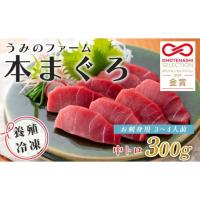 ふるさと納税 マグロ 高知県 大月町 マグロ まぐろ 本マグロ 刺身 中トロ 300g うみのファーム 養殖 本まぐろ さしみ 刺し身 ネギトロ ねぎとろ 漬け丼 海鮮丼… | ふるさとチョイス