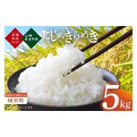 ふるさと納税 米 茨城県 水戸市  数量限定 令和7年産 茨城県産にじのきらめき5kg（茨城県共通返礼品／城里町） お米 ごはん おいしい 白米 茨城県産 水戸市 （… | ふるさとチョイス