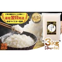 ふるさと納税 米 コシヒカリ 茨城県 つくばみらい市 最短翌日出荷 令和7年産 茨城県産 コシヒカリ 3kg ( 3kg ×1袋) 五つ星 お米マイスター 即納 監修 こしひ… | ふるさとチョイス