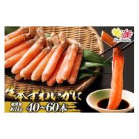 ふるさと納税 カニ ずわいガニ 宮城県 気仙沼市 生本ずわいがに 棒肉 ポーション 40〜60本入 総重量 約1kg カネダイ 宮城県 気仙沼市 20564361 むき身 カニ か… | ふるさとチョイス