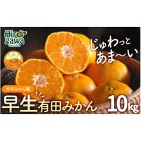 ふるさと納税 果物類 みかん 和歌山県 広川町 早生 有田みかん10kg (大玉）2L〜 2026年11月〜2027年1月中旬に順次発送予定 tkn004-wr-l-10-12 | ふるさとチョイス