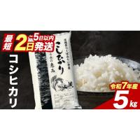 ふるさと納税 米 コシヒカリ 茨城県 つくばみらい市  最短2営業日 スピード発送 コシヒカリ 5kg 令和7年産精米 数量限定 茨城県つくばみらい市産 米 コメ 単一… | ふるさとチョイス