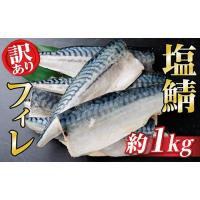 ふるさと納税 魚貝類 岐阜県 羽島市  訳あり ノルウェー産　塩さば　フィレ　約1kg_訳あり 塩さば さば サバ 鯖 フィレ ノルウェー産 大きさ 不揃い 美味しい … | ふるさとチョイス