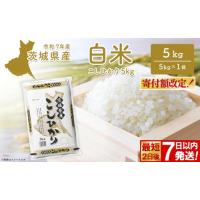 ふるさと納税 米 コシヒカリ 茨城県 境町 こしひかり 5kg〈最短2日後7日以内発送〉 令和7年産／白米 米 小分け 茨城県産 2025年産 コシヒカリ K2670 令和7年産… | ふるさとチョイス