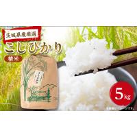 ふるさと納税 米 茨城県 - 筑波山麓産米を中心に厳選した 茨城県産こしひかり 白米5kg 令和7年産_米 お米 コメ ブランド米 こしひかり コシヒカリ 精米 白米 … | ふるさとチョイス