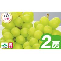 ふるさと納税 ぶどう 長野県 中野市  2026年発送 訳ありシャインマスカット2房1kg以上　JA中野市から産直 1716008 | ふるさとチョイス