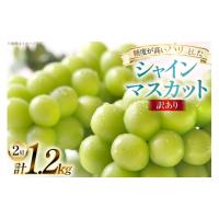 ふるさと納税 ぶどう マスカット 山形県 高畠町  期間限定発送 訳あり シャインマスカット 2房 1.2kg 田制農園 山形県 高畠町 tk06ayt230011 ぶどう ブドウ 葡… | ふるさとチョイス