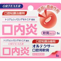 ［ネコポス］オルテクサー口腔用軟膏 5g 【第(2)類医薬品】　※セルフメディケーション税制対象商品［ネコポス配送1］ | おくすり奉行28