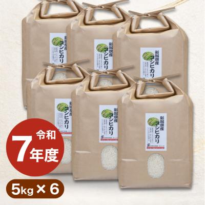 新潟県産 コシヒカリ 30キロ 新米 新潟県産コシヒカリ(玄米) 30kg 令和7年産：新潟県産のお米｜食べ