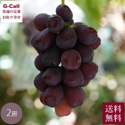 富士の輝きのおすすめ人気ランキングTOP100 - Yahoo!ショッピング