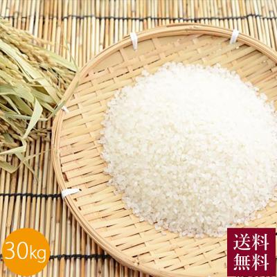 コシヒカリ 30kg（産地：長野）の商品一覧 通販 - Yahoo!ショッピング