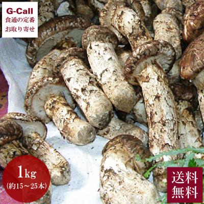 松茸のおすすめ人気商品一覧 通販 - Yahoo!ショッピング