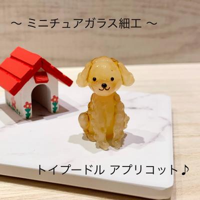 ガラスセレクトきらきら - 四間道ガラス館｜Yahoo!ショッピング