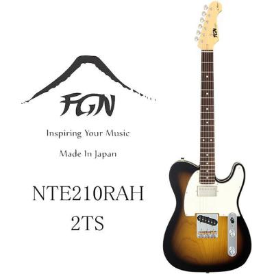 フジゲン テレキャスターのおすすめ人気商品一覧 通販 - Yahoo