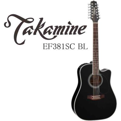 タカミネ 12弦ギター アコースティック ギター Amazon | Takamine タカミネ G Series Dreadnought Solid Top