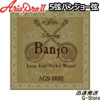 Aria バンジョー弦 AGS-100BJ×1セット | G-Store Yahoo!ショッピング店