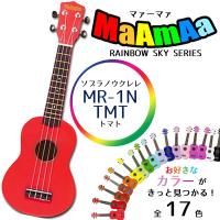 ソプラノウクレレ 初心者の方へオススメ 入門用ウクレレセット