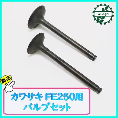 カワサキ エンジン fe250（農業用品） | DIY、工具 の商品一覧 通販 