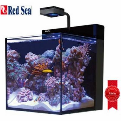 ガラス水槽 45cm キューブ 中古 Yahoo!オークション -「45cm キューブ水槽」の落札相場・落札価格