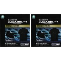 2個セット 黒復活シート 16枚入り 黒シャツ洗濯専門 BLACK染色シート 色落ち 色あせ 防止 ブラック 黒 染色 洗剤 併用化 ドラム式 洗濯機 使用可 送料無料 | ガイヒフード