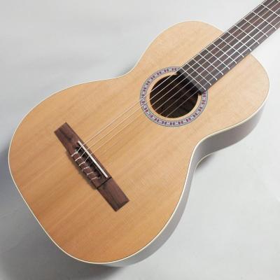 godin ギター（エレキギター、セミアコ、フルアコ本体）｜ギター｜楽器