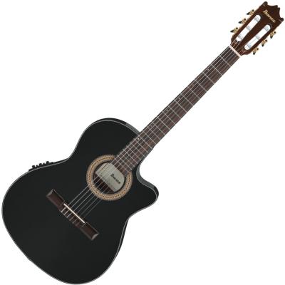 ibanez エレガット（ギター）｜楽器、器材 | 楽器、手芸、コレクション