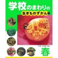 【取寄品】【取寄時、納期1〜3週間】春【ネコポスは送料無料】 | エイブルマートヤフー店