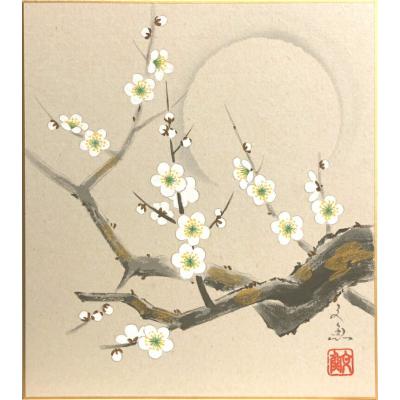 中谷文魚「 寒月 」(3) 色紙絵 絵画 日本画 冬の色紙 春の色紙 白梅 花