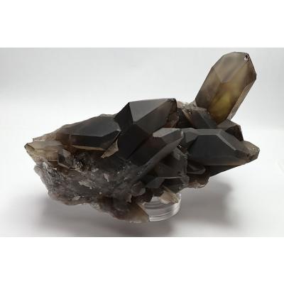 ✳️極ヤバの逸品‼️✨超極大✨水晶クラスター 曲がり水晶 天然石 原石 置物 Amazon.co.jp: 天然水晶 原石 天然石 台座付き クラスター 置物