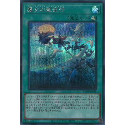 GAME38JAPAN - 遊戯王｜Yahoo!ショッピング