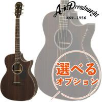 エレクトリックアコースティックギター アリアドレッドノート 今だけソフトケース付き  AF-105RWCE N Rosewood - Electric Cutaway - Aria Dreadnought | G&G MUSIC HOTLINE