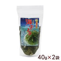 海ぶどう 塩水漬け 茎付き 40g×2袋 （メール便）　/平良商店 | 沖縄健康市場