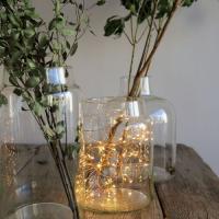 LEDライト ワイヤーライト ブリンク 1.5m ディスプレイ用ライト | GreenDale 雑貨店