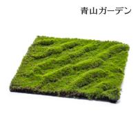 人工観葉植物 人工植物 人工苔 下草 坪庭 造花 業務用 施設 オフィス 店舗 装飾 フェイク グリーン グランドカバー リアル タカショー / 苔マット /小型 | 青山ガーデン ヤフー店