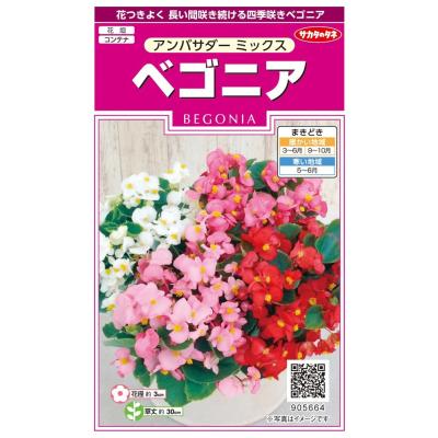 ベゴニア（種、種子） | 花、ガーデニング のおすすめ人気商品一覧