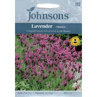 【種子】Johnsons Seeds Lavender FRENCH ラベンダー フレンチ ジョンソンズシード | Gardener s Shop Ivy