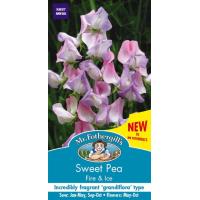 【輸入種子】 Mr.Fothergill's Seeds Sweet Pea Fire &amp; Ice スイート・ピー ファイヤー＆アイス ミスター・フォザーギルズシード | Gardener s Shop Ivy