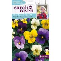 【種子】Johnsons Seeds Sarah Raven Brilliant for Bees &amp; Butterflies Viola Comedy Mixed F2 ヴィオラ コメディ・ミックス・F2 ジョンソンズシード | Gardener s Shop Ivy