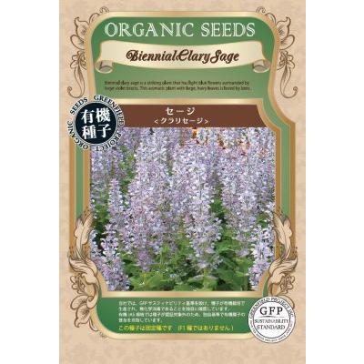 ホワイトセージ 種（種、種子） | 花、ガーデニング の商品一覧 通販